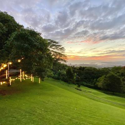 a large green field with trees in the background