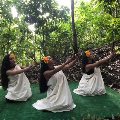 a group of people in a forest