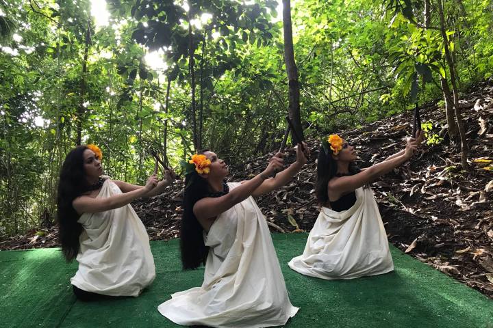 a group of people in a forest