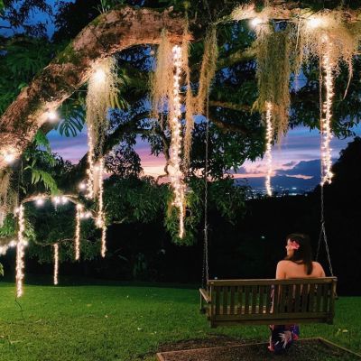a person standing in front of a tree