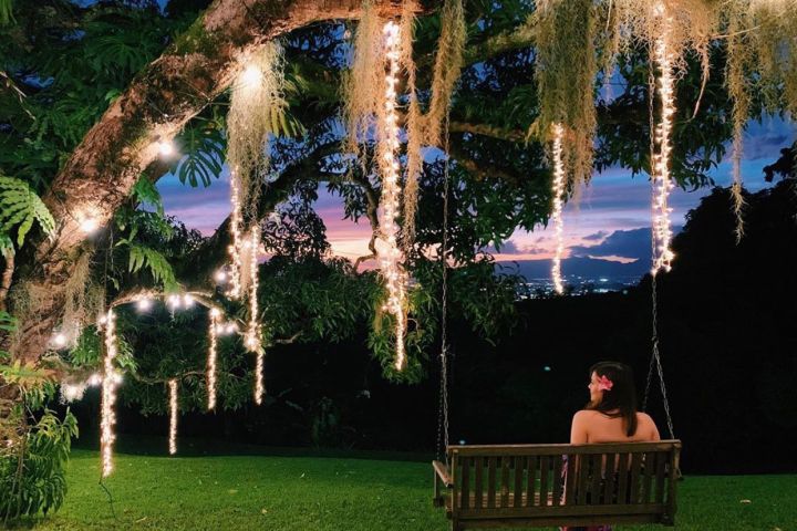 a person standing in front of a tree