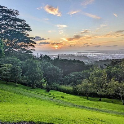 a large green field with trees in the background