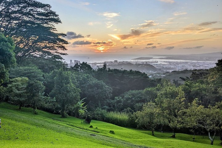 a large green field with trees in the background