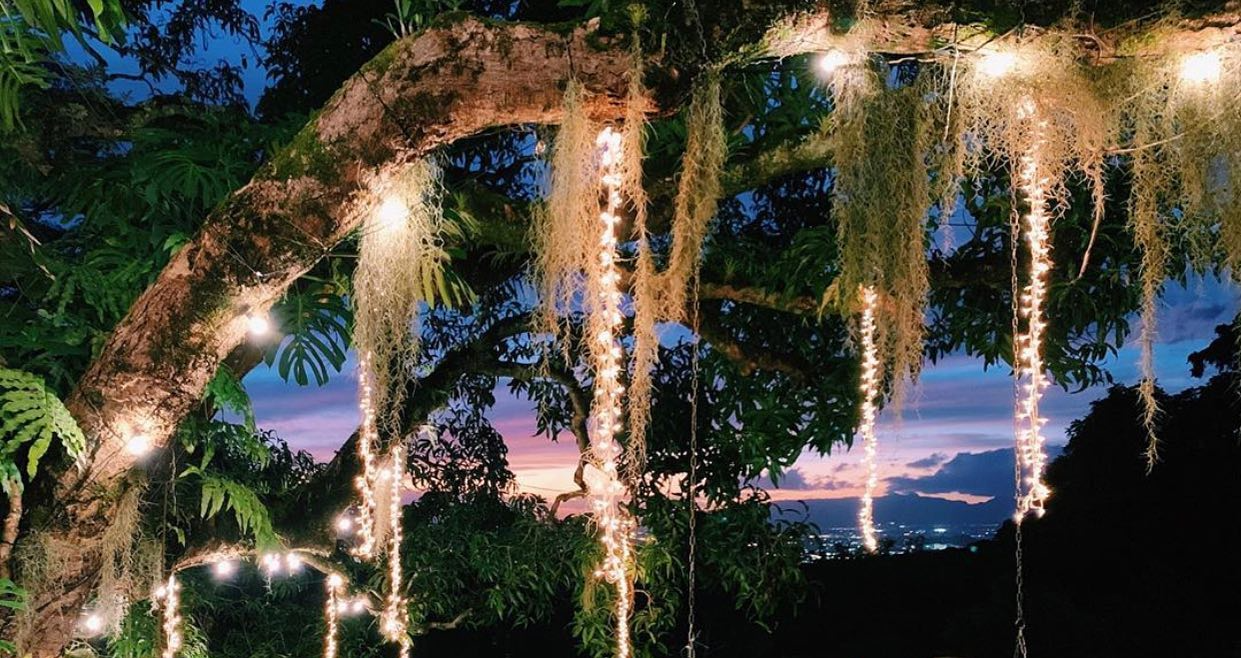 Nutridge Estate photo 3